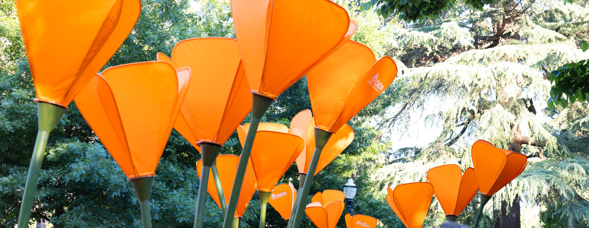 Fremont Park Bloom 2027 Donations
